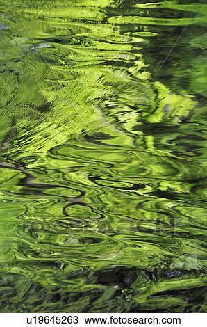 Stock Image - Green Ripples. Fotosearch