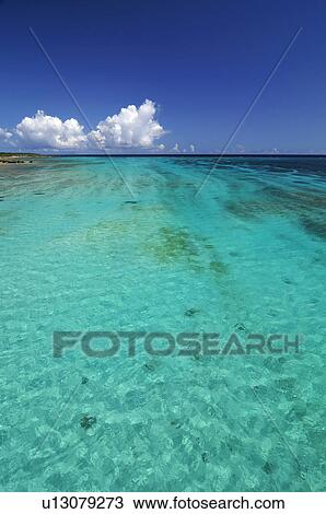 Stock Image - Green Sea. Fotosearch