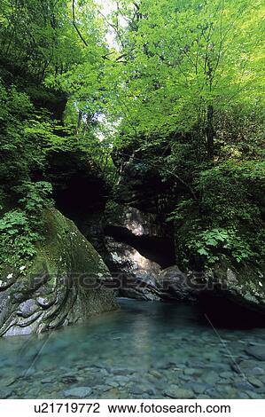 Higashizawa ravine, Yamanashi Prefecture, Honshu, Japan View Large Photo Image Stock Image - Higashizawa ravine, Yamanashi Prefecture, Honshu, Japan. Fotosearch