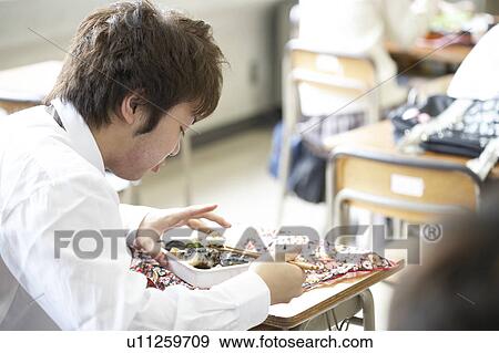 High school student eating lunch, Japan View Large Photo Image Stock Photo - High school student eating lunch, Japan. Fotosearch
