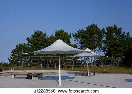 Stock Photo - Hitachi Seaside Park. Fotosearch