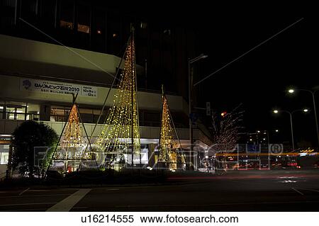 Stock Photography - Illuminated Trees Supported by Yukitsuri. Fotosearch