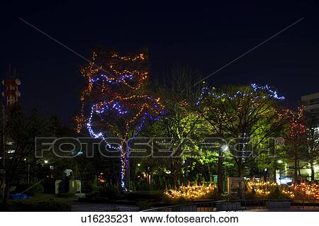 Illuminations of the Fukui central park View Large Photo Image Stock Image - Illuminations of the Fukui central park. Fotosearch