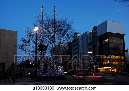 Korinbo tree fantasy View Large Photo Image Stock Photo - Korinbo tree fantasy. Fotosearch