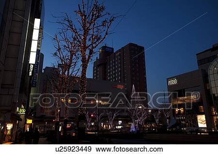 Korinbo tree fantasy View Large Photo Image Stock Photo - Korinbo tree fantasy. Fotosearch