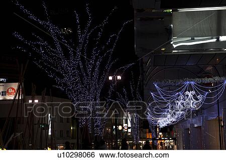 Stock Photograph - Korinbo tree fantasy. Fotosearch