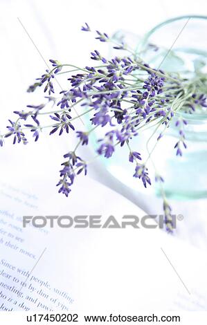 Stock Image - Lavender Flowers and Book. Fotosearch