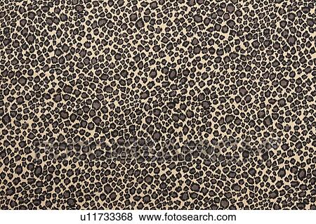 Leopard print View Large Photo Image Stock Photo - Leopard print. Fotosearch