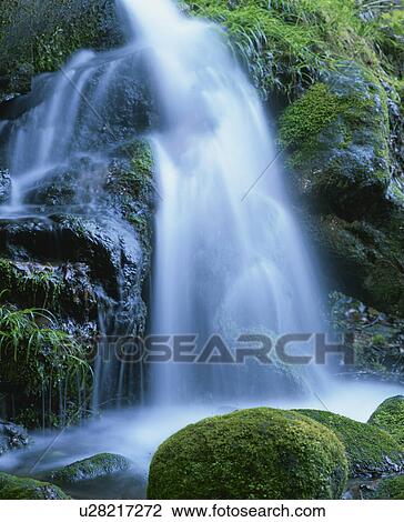 Stock Image - Limpid stream. Fotosearch