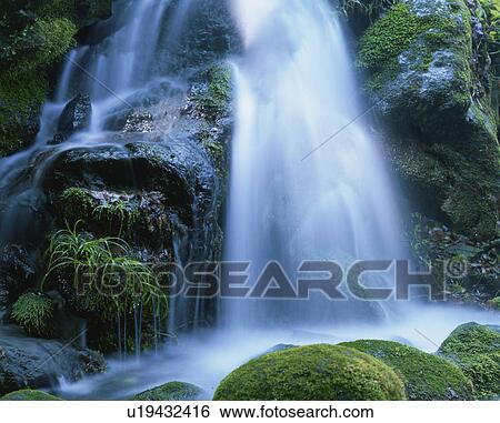 Stock Photograph - Limpid stream. Fotosearch