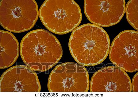 Mandarin Oranges View Large Photo Image Stock Photography - Mandarin Oranges. Fotosearch