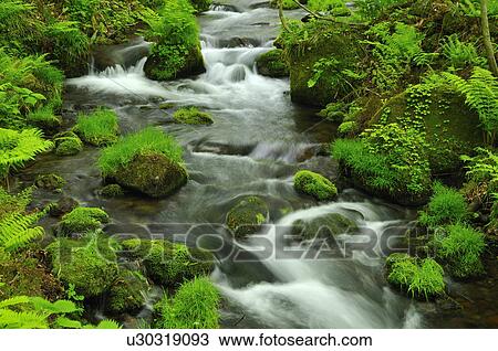 Mossy Stones in Stream View Large Photo Image Stock Image - Mossy Stones in Stream. Fotosearch