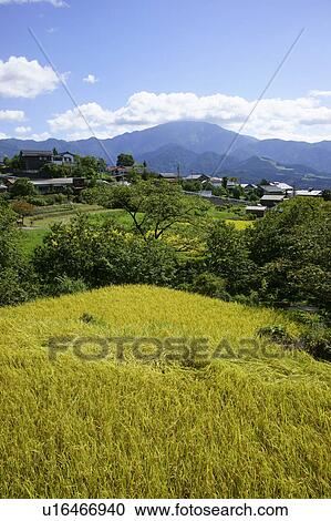 Mount Ena and Village View Large Photo Image Stock Image - Mount Ena and Village. Fotosearch