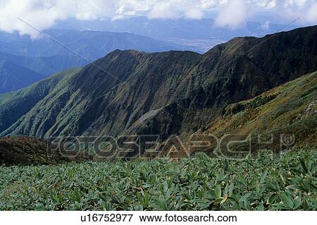 Mount Makihata in Autumn View Large Photo Image Stock Photo - Mount Makihata in Autumn. Fotosearch