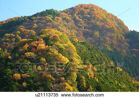 Stock Photography - Mountain in Autumn. Fotosearch