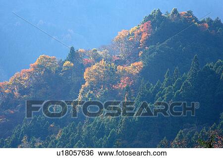 Stock Photograph - Mountain in Morning. Fotosearch