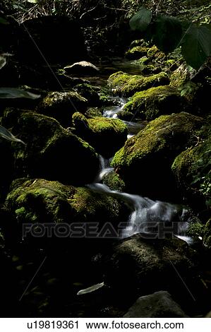 Stock Image - Mountain Stream. Fotosearch