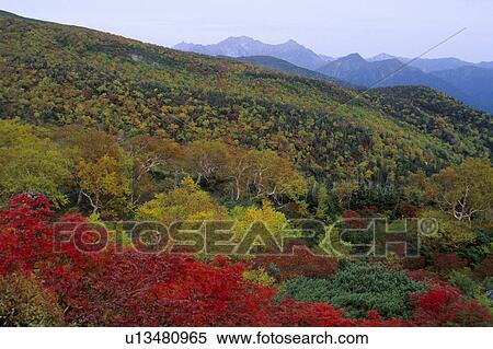 Stock Photography - Norikura plateau in Autumn. Fotosearch