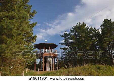 Stock Image - Observatory in Woods. Fotosearch