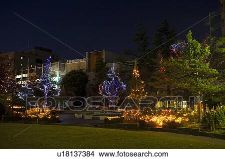 Picture - Park Decorated with Lights. Fotosearch