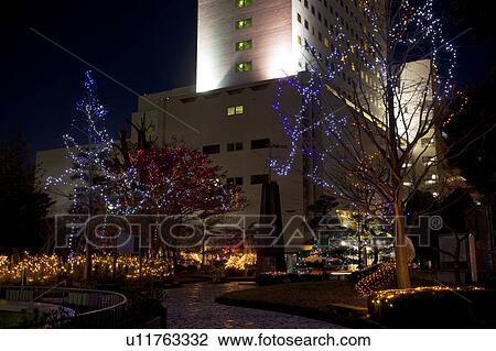 Stock Image - Park Decorated with Lights. Fotosearch