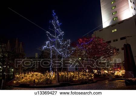 Park Decorated with Lights View Large Photo Image Stock Photo - Park Decorated with Lights. Fotosearch