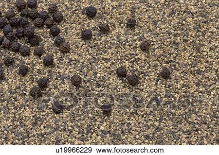 Stock Photo - Pepper and black peppercorns. Fotosearch