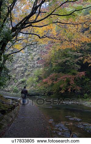 Stock Photography - Person Walking in Forest Path. Fotosearch