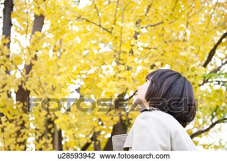 Stock Image - Profile of a businesswoman looking up. Fotosearch