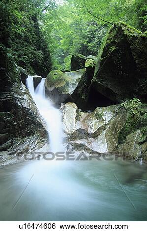 Stock Photograph - Ravine at Ogawadani-roka, Kanagawa Prefecture, Honshu, Japan. Fotosearch