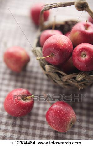 Red Apples in Basket View Large Photo Image Picture - Red Apples in Basket. Fotosearch