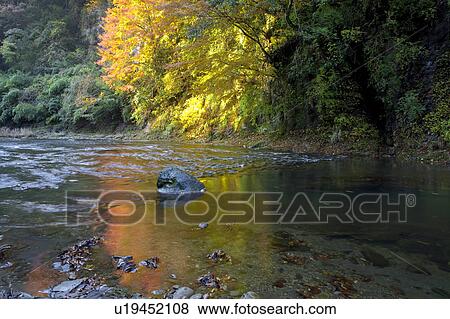 Stock Photo - River in Autumn. Fotosearch