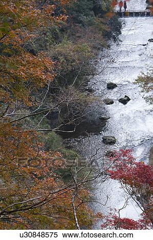 Stock Photography - River in Autumn. Fotosearch