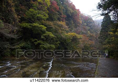River in Autumnal Forest View Large Photo Image Stock Photograph - River in Autumnal Forest. Fotosearch