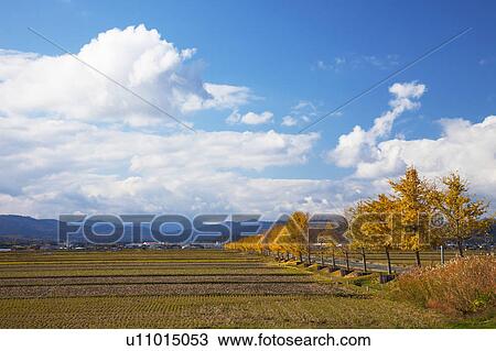 Stock Image - Rural Landscape. Fotosearch