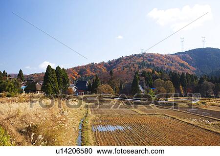 Rural landscape View Large Photo Image Stock Image - Rural landscape. Fotosearch