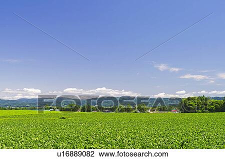 Rural Landscape View Large Photo Image Stock Image - Rural Landscape. Fotosearch