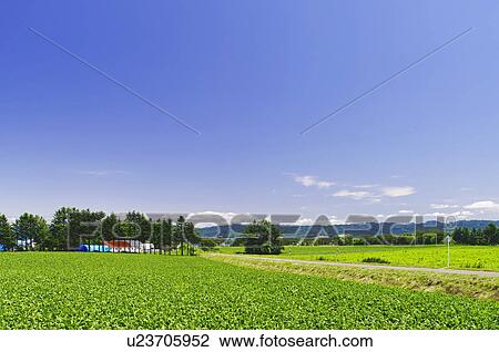 Rural Landscape View Large Photo Image Stock Image - Rural Landscape. Fotosearch