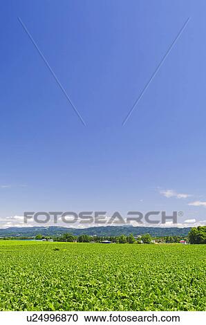 Rural Landscape View Large Photo Image Stock Image - Rural Landscape. Fotosearch