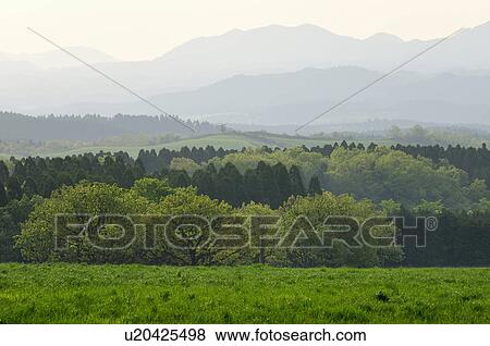 Stock Photo - Rural Landscape. Fotosearch