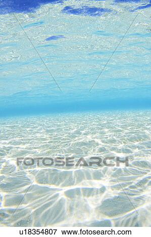 Sea Floor View Large Photo Image Stock Photo - Sea Floor. Fotosearch