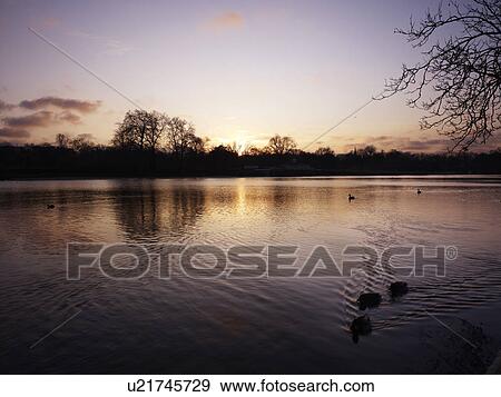 Stock Photo - Serpentine Lake at Dusk. Fotosearch
