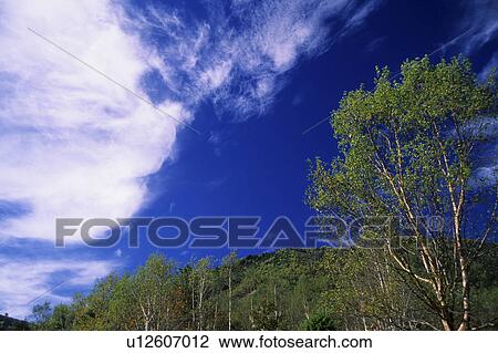 Stock Image - Sky over South Alps. Fotosearch