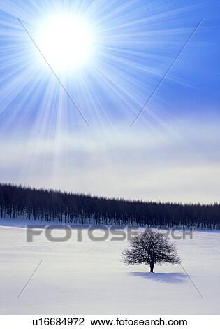 Stock Image - Sky, rainbow and sunbeam, digital composite. Fotosearch