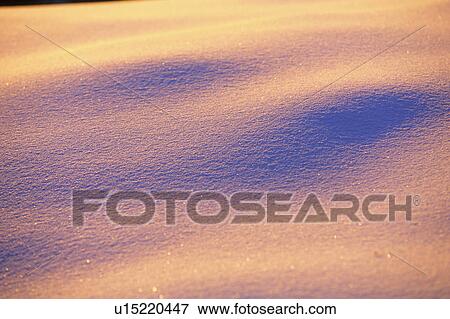 Snow on field, close-up View Large Photo Image Stock Photo - Snow on field, close-up. Fotosearch