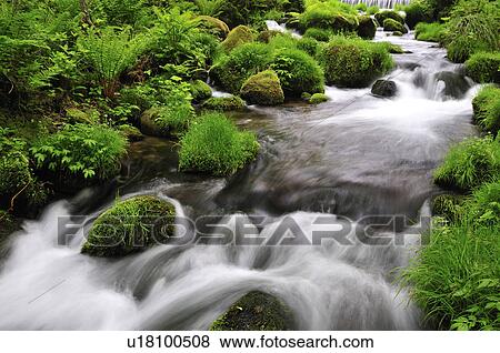 Stock Photo - Stream and Mossy Stones. Fotosearch