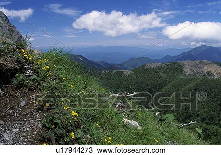 Stock Image - Sunlight Shirane-san. Fotosearch