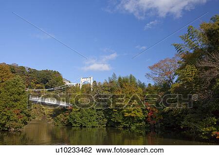 Stock Image - Suspension Bridge Over Kameyama Lake. Fotosearch