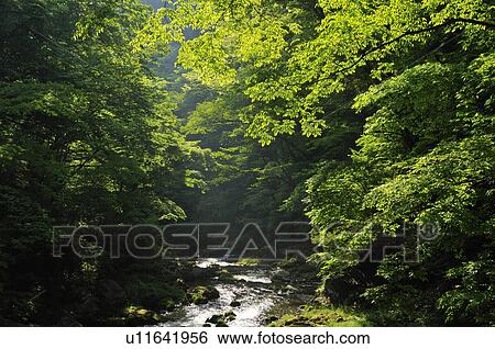 Stock Photograph - Taishaku Valley. Fotosearch