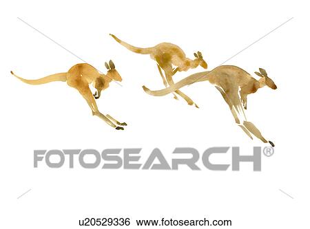 Stock Photograph - Three Kangaroos. Fotosearch